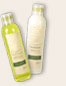 Shampoo and Reconditioner based on Chamomile